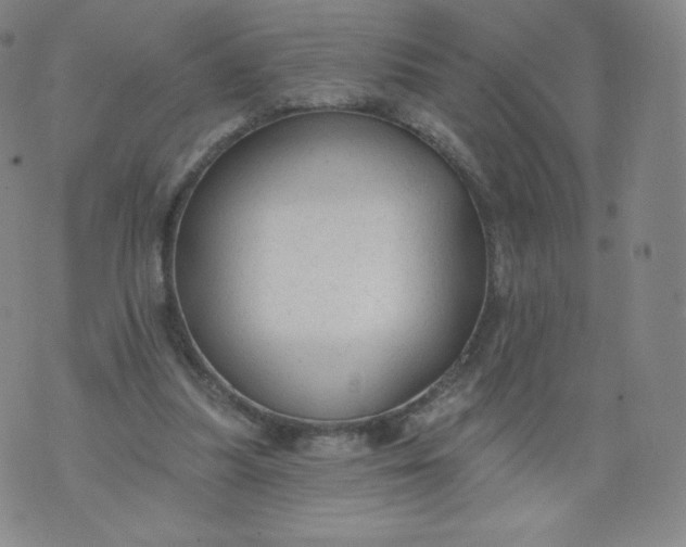 X0000074280251200609151859