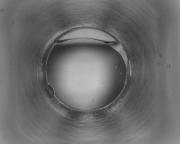 X0000074280252200609151859