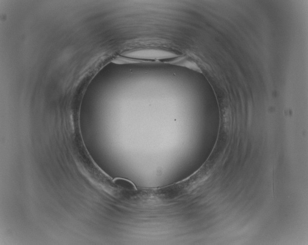 X0000074280254200609151859