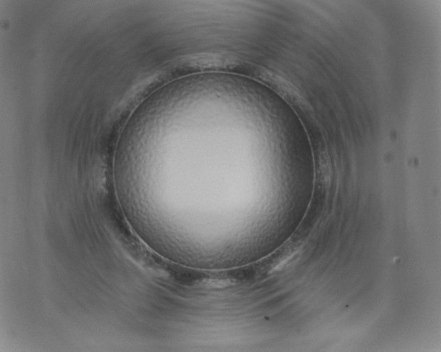 X0000074280255200609151859