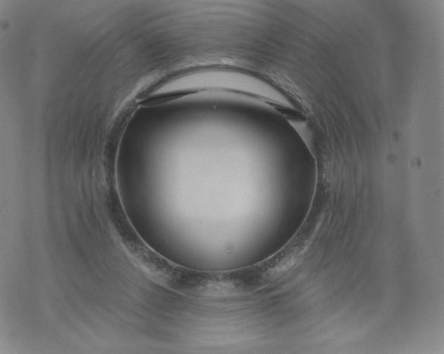 X0000074280256200609151859