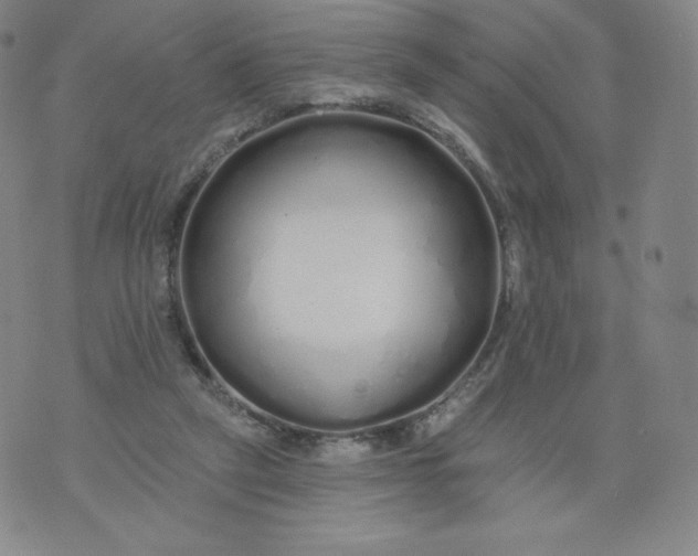 X0000074280257200609151859