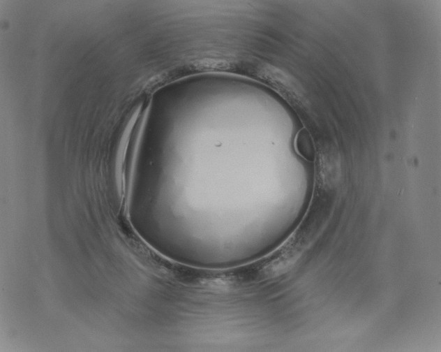 X0000074280259200609151859