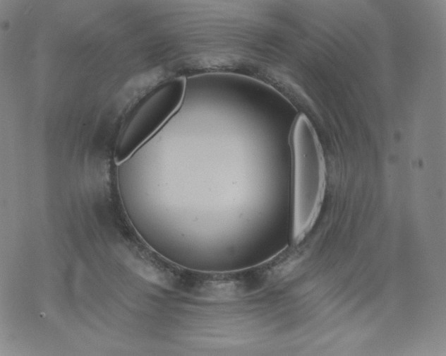 X0000074280260200609151859