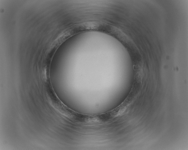 X0000074280262200609151859