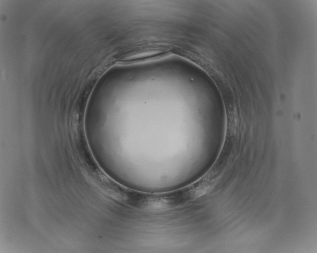 X0000074280263200609151859