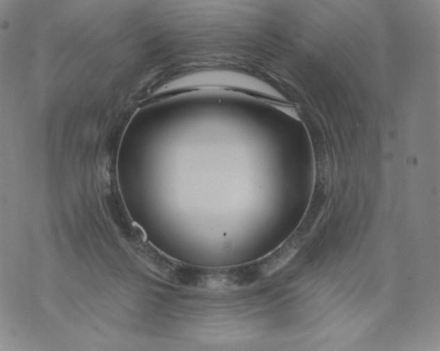 X0000074280264200609151859