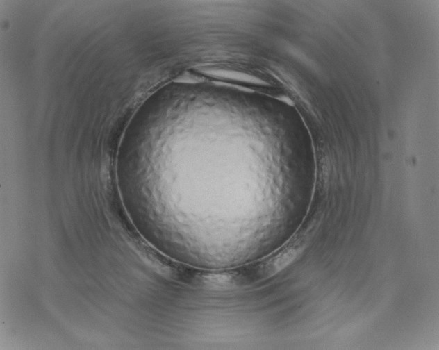 X0000074280265200609151859