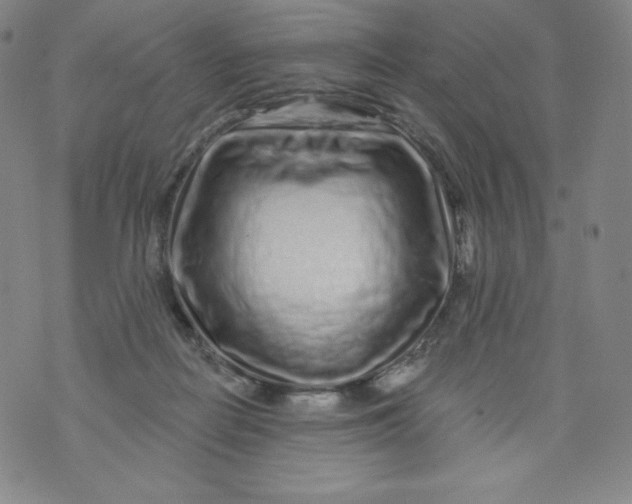 X0000074280266200609151859