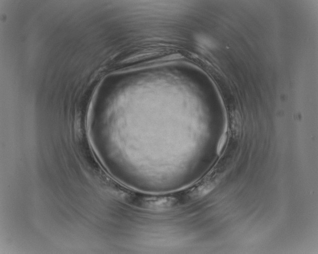 X0000074280267200609151859