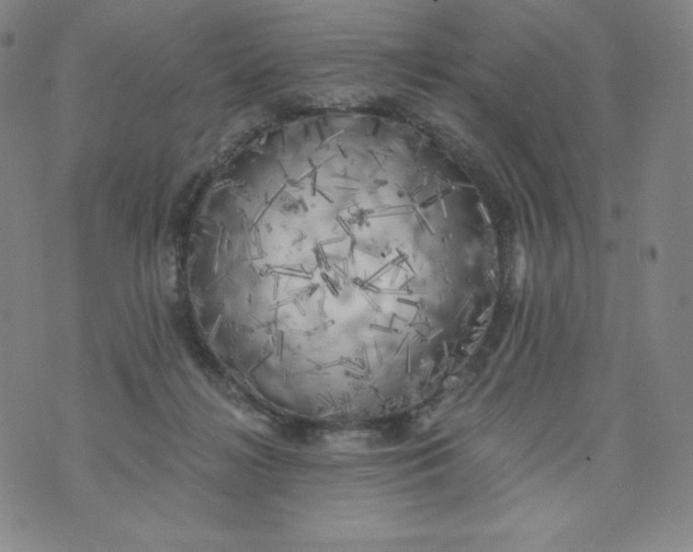 X0000074280268200609151859