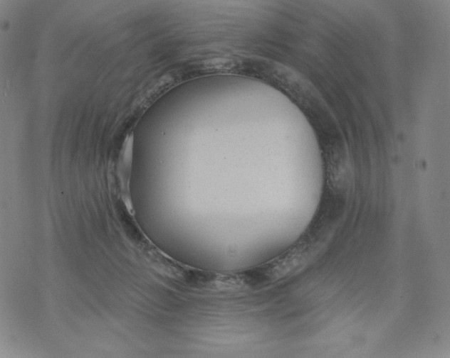 X0000074280270200609151859