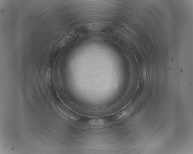 X0000074280271200609151859