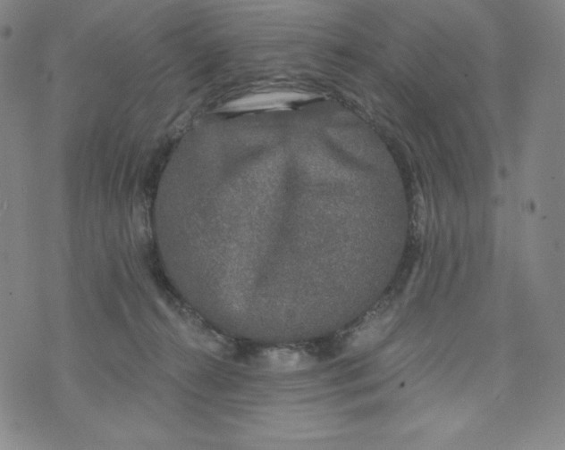 X0000074280272200609151859