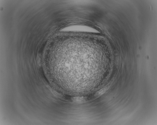 X0000074280273200609151859