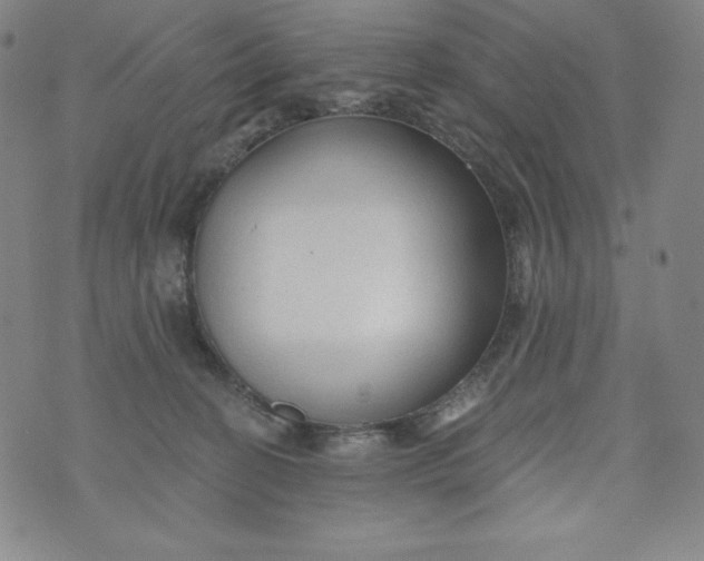 X0000074280274200609151859