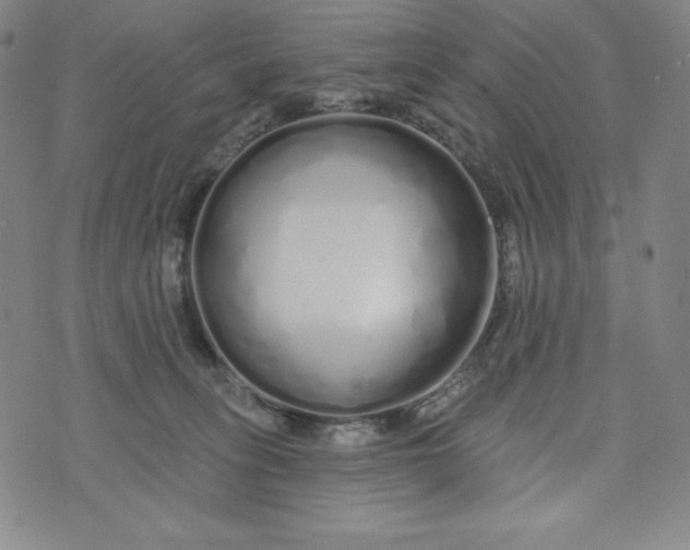 X0000074280275200609151859