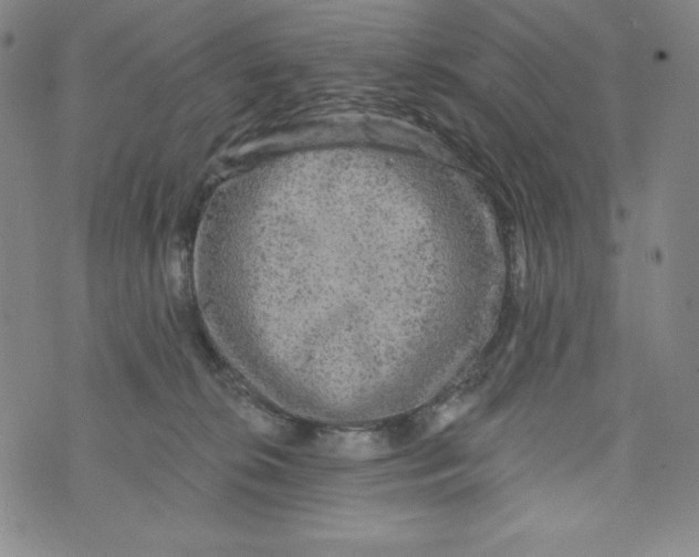 X0000074280276200609151859