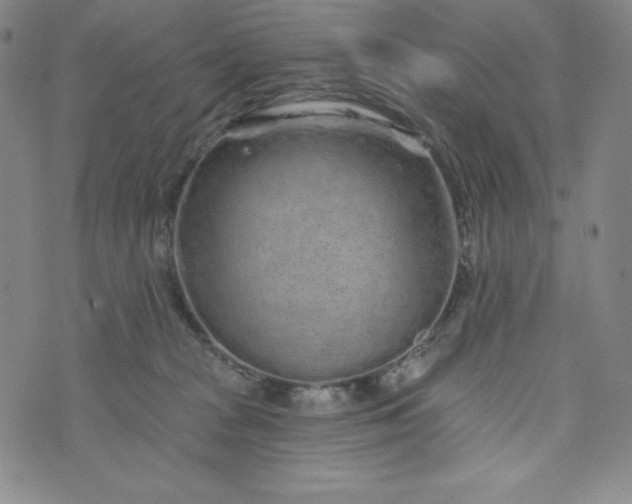 X0000074280277200609151859