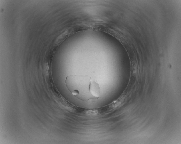 X0000074280279200609151859