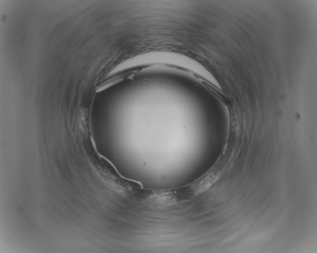 X0000074280280200609151859