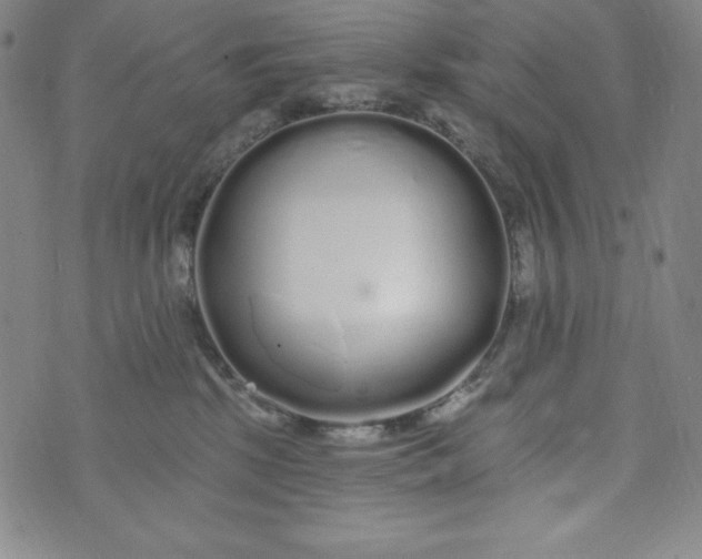 X0000074280281200609151859