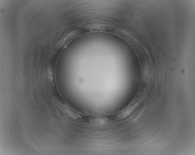 X0000074280282200609151859