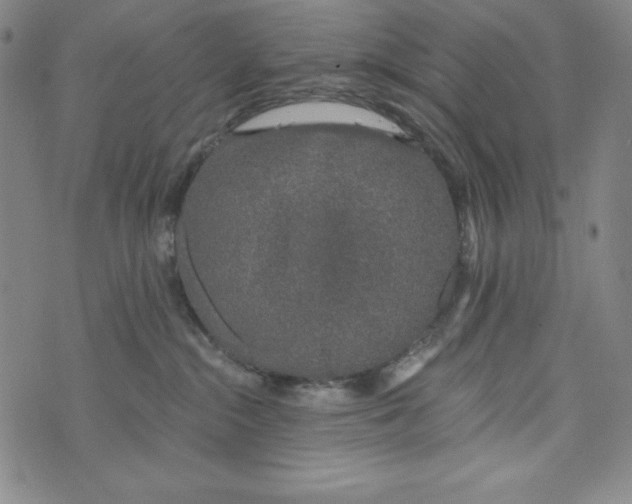 X0000074280284200609151859