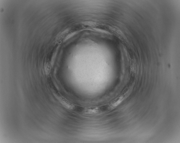 X0000074280285200609151859