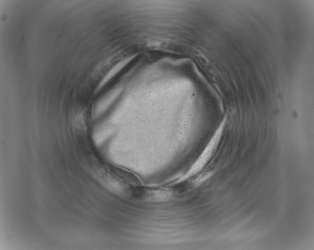 X0000074280286200609151859