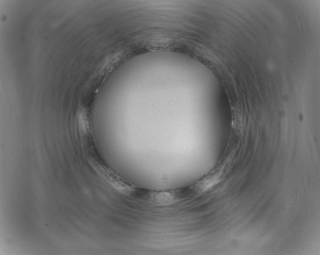 X0000074280287200609151859