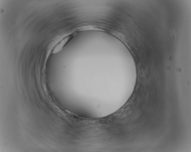 X0000074280289200609151859