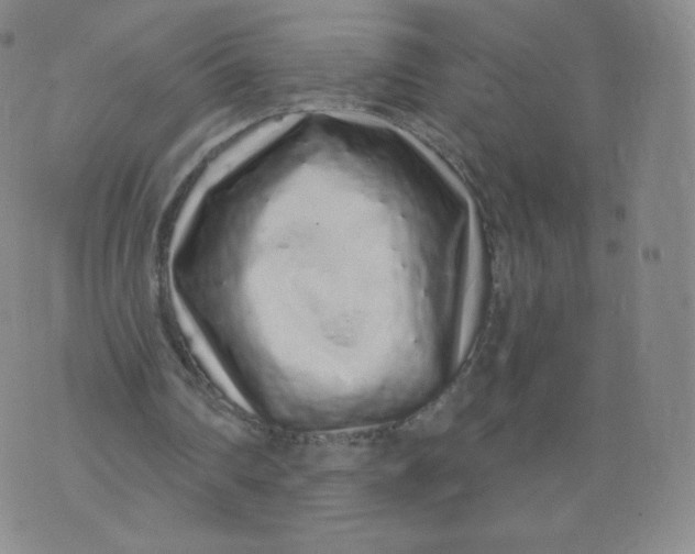 X0000074280290200609151859