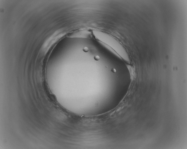 X0000074280291200609151859