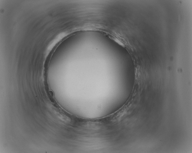 X0000074280292200609151859