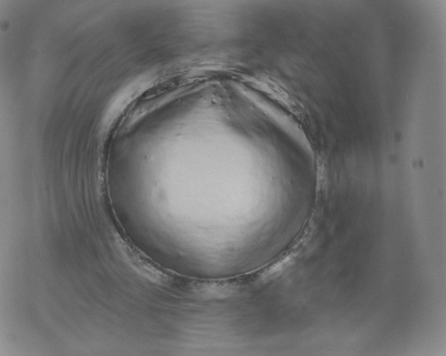 X0000074280293200609151859