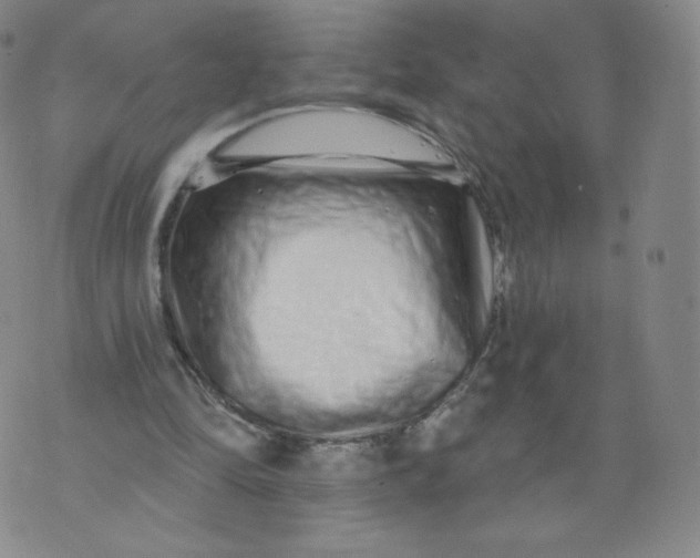 X0000074280294200609151859