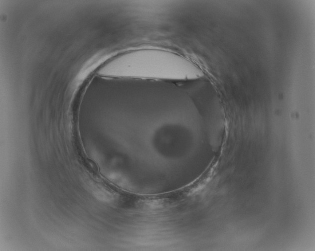 X0000074280295200609151859