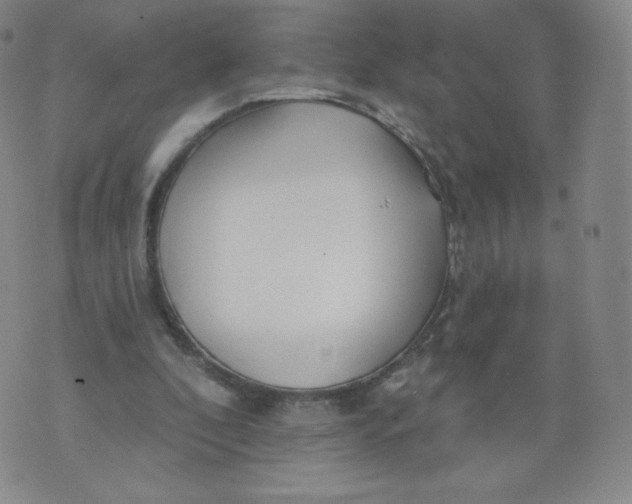 X0000074280296200609151859