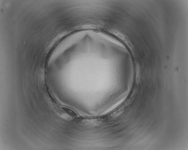 X0000074280297200609151859