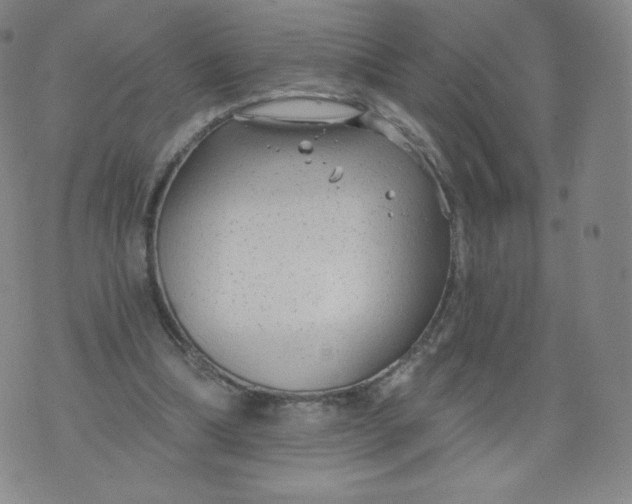 X0000074280298200609151859