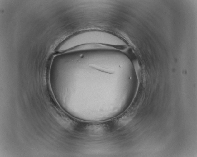 X0000074280299200609151858