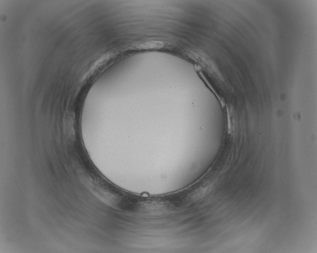 X0000074280300200609151858