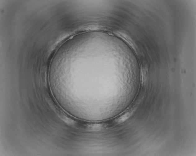 X0000074280301200609151858