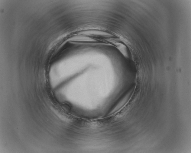 X0000074280302200609151858