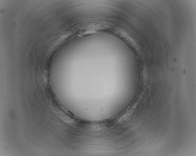 X0000074280305200609151858