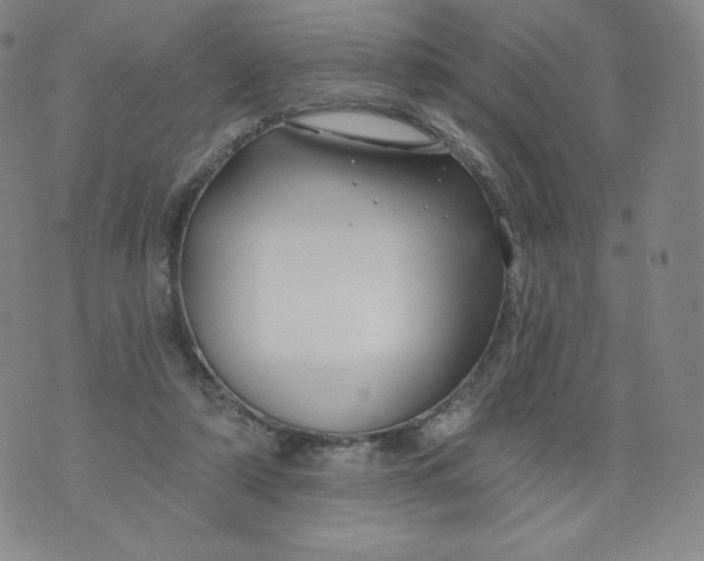 X0000074280306200609151858