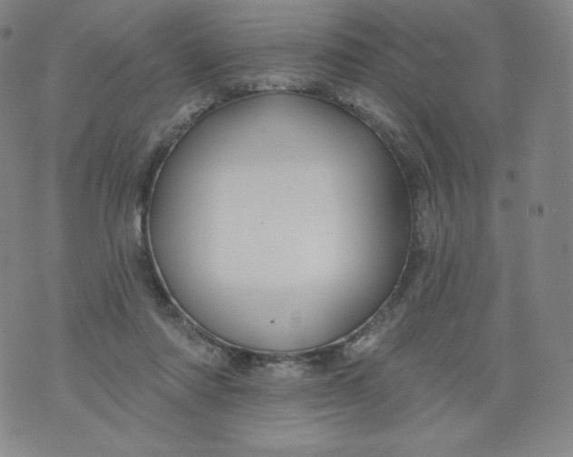 X0000074280310200609151858