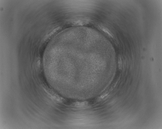 X0000074280314200609151858