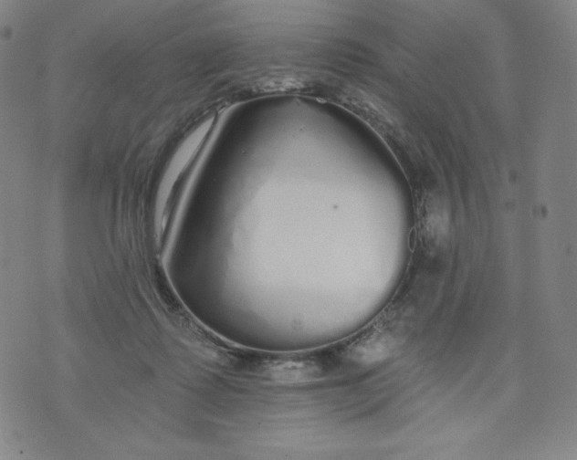 X0000074280315200609151858